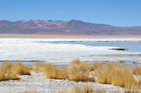 Estacion termale - Reserva nacional de fauna andina Eduardo Abaroa - Deserto do Lipez -