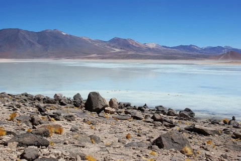 Laguna Blanca - Reserva nacional de fauna andina Eduardo Abaroa - Deserto do Lipez - Departamento
