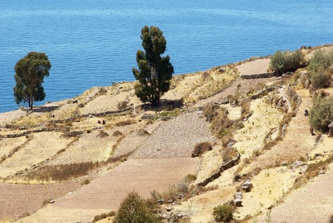 Isla Taquile - Lago Titicaca - Perú ATENÇÃO: NÃO PODEMOS REPRESENTAR ESSA IMAGEM FORA DA AMERICA