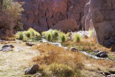 Broken of Jere, Worth of Jere, Poblado Toconao, Atacama Desert, Region of Antofagasta, Santiago,