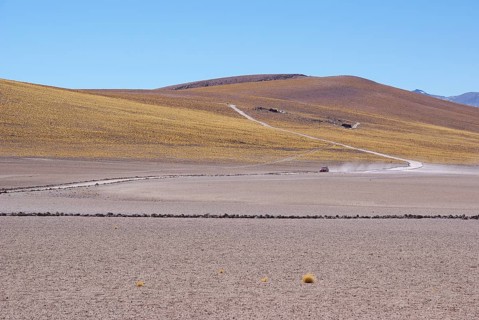 Sector Lagunas Miscanti y Miñiques, Los Flamencos Reserve National, Atacama Desert, Region de