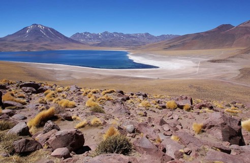 Laguna Miscanti, Los Flamencos Reserve National, Atacama Desert, Region of Antofagasta, Santiago,