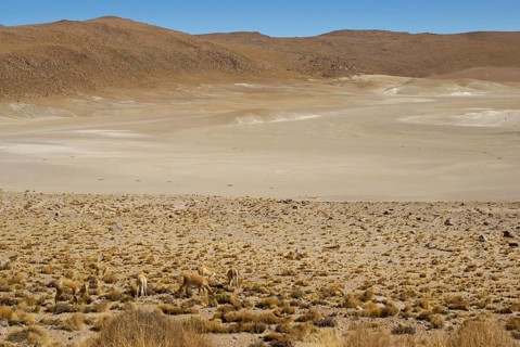 Atacama Desert, Region of Antofagasta, Santiago, Chile
