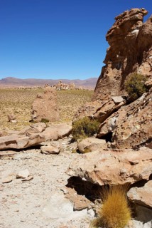 Rock Forest, Desert of Lipez, Department of Potosi, Sud Lipez Province, La Paz, Bolívia