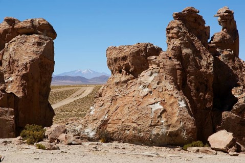 Rock Forest, Desert of Lipez, Department of Potosi, Sud Lipez Province, La Paz, Bolívia