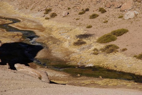 Thermal waters, Atacama Desert, Region of Antofagasta, Santiago, Chile