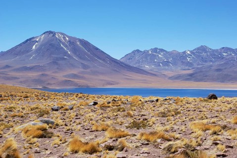 Laguna Miscanti - Reserva Nacional Los Flamencos - Deserto do Atacama - Região de Antofagasta -