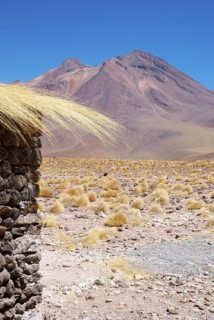Sector Lagunas Miscanti y Miñiques - Reserva Nacional Los Flamencos - Deserto do Atacama - Região
