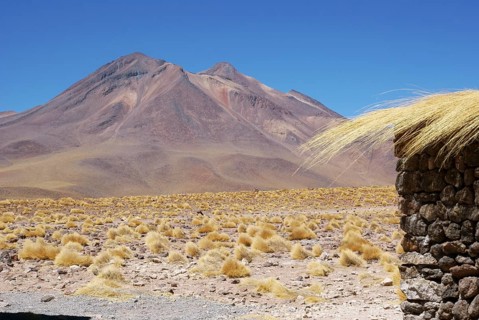 Sector Lagunas Miscanti y Miñiques - Reserva Nacional Los Flamencos - Deserto do Atacama - Região