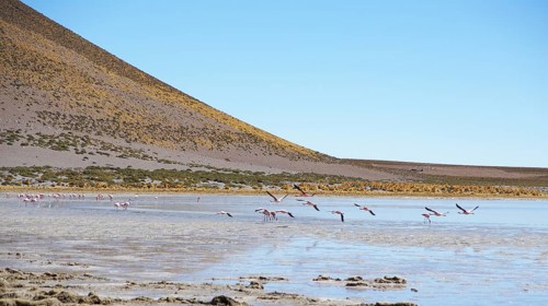 Desert of Lipez, Department of Potosi, Sud Lipez Province, La Paz, Bolívia