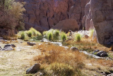 Broken of Jere, Worth of Jere, Poblado Toconao, Atacama Desert, Region of Antofagasta, Santiago,