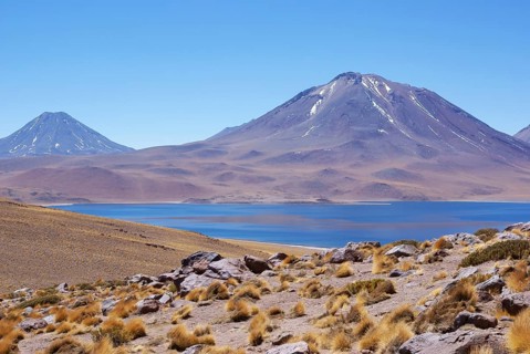 Laguna Miscanti, Los Flamencos Reserve National, Atacama Desert, Region of Antofagasta, Santiago,