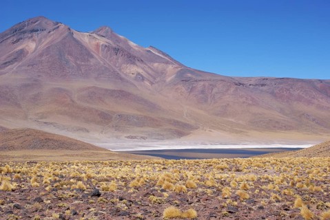 Laguna Miñiques, Los Flamencos Reserve National, Atacama Desert, Region of Antofagasta, Santiago,