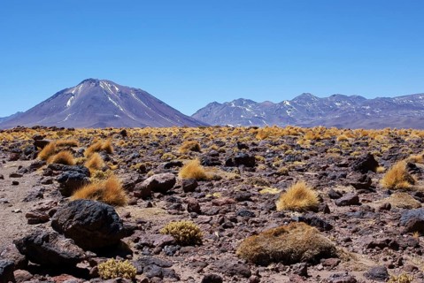 Sector Lagunas Miscanti y Miñiques, Los Flamencos Reserve National, Atacama Desert, Region de