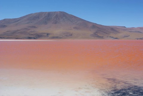 Laguna Colorada, Reserves national of Andean fauna Eduardo Abaroa, Desert of Lipez, Department of