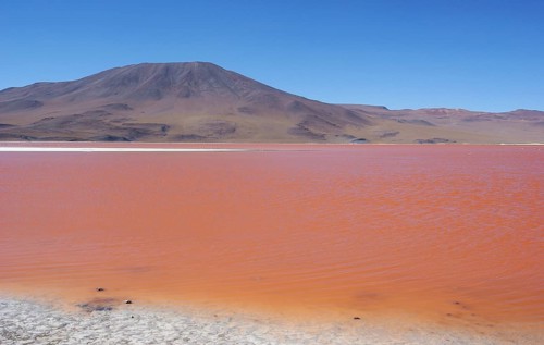 Laguna Colorada, Reserves national of Andean fauna Eduardo Abaroa, Desert of Lipez, Department of