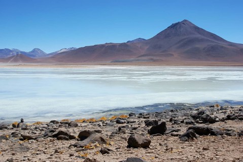 Laguna Blanca, Reserves national of Andean fauna Eduardo Abaroa, Desert of Lipez, Department of