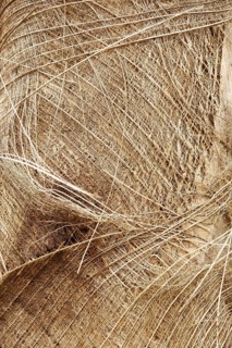 Straw, Barra do Una, Peruíbe, São Paulo, Brazil