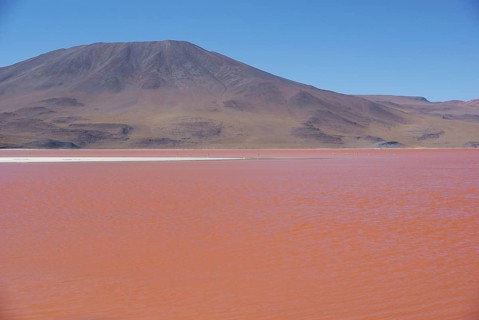 Laguna Colorada, Reserves national of Andean fauna Eduardo Abaroa, Desert of Lipez, Department of