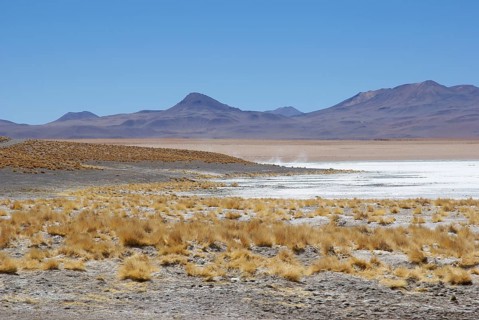 Estacion termale, Reserva nacional de fauna andina Eduardo Abaroa, Deserto do Lipez, Departamento