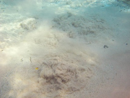 Fund of the Lake, Sand, Bonito, Mato Grosso do Sul, Brazil