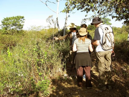 People, Treads, Pantanal, Mato Grosso do Sul, Brazil