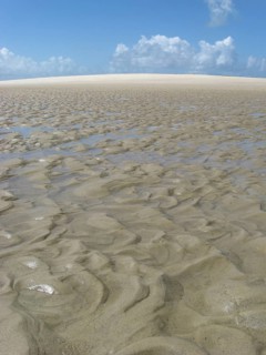 Beach, Dunes, São Paulo Hill, Salvador, Bahia, Brazil