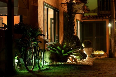 Plants, Bicycle, Ilha Grande, Rio de Janeiro, Brazil