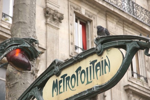 Plate, Place Saint-Michel, 6ème arrondissement, (75006), Paris, France