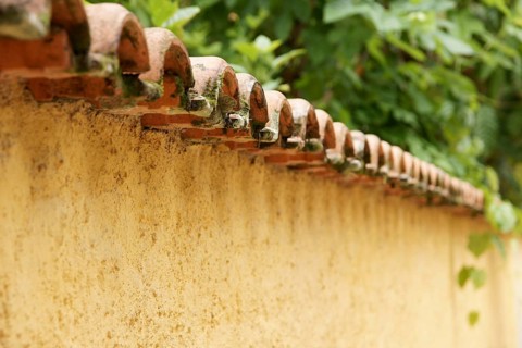 Wall, Tiles, North coast, Camburi, São Paulo, Brazil