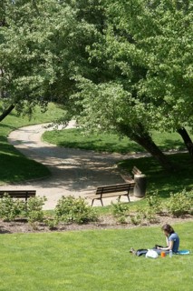 Trees, Parc des Glacières, Bolougne-Billancourt, Hauts-de-Seine (92), Ile de France, France
