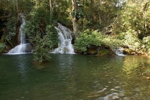 Forest, Nature, Seis Cachoeiras Park, Bonito, Mato Grosso do Sul, Brazil