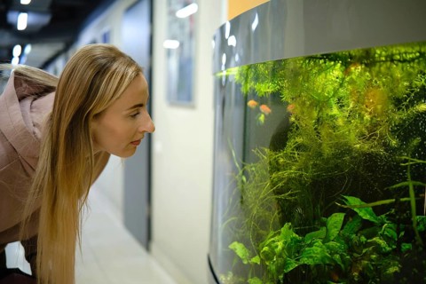 A woman with long hair leans forward, peering into a large aquarium filled with vibrant fish and