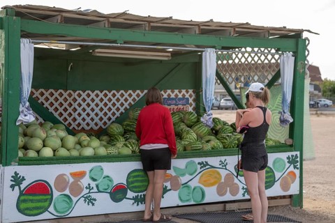 Green River, Utah - Melons from Dunham Farms for sale at a roadside stand. Green River is famous