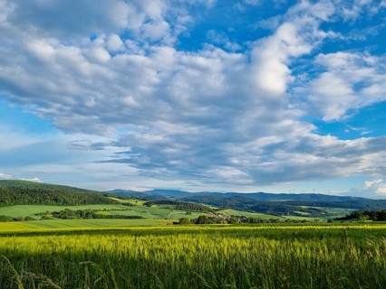 Sunny summer landscape with fields, meadows and forests (smartphone photo) . Hübental,