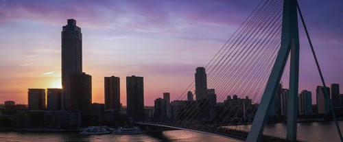 Panoramic view of Erasmus Erasmusbrug bridge in Rotterdam. Financial business district skyline