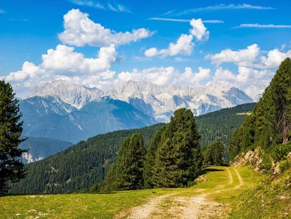 View from an alpine pasture near the Acherkogel in the Stubai Alps in Hochoetz, Ötz, Ötztal, Tyrol,