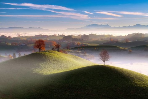 Misty hilly landscape near Hirzel at sunrise, behind Mount Säntis, Canton of Zug, Switzerland