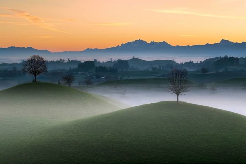 Misty hilly landscape near Hirzel at dawn, behind Mount Säntis, Canton of Zug, Switzerland