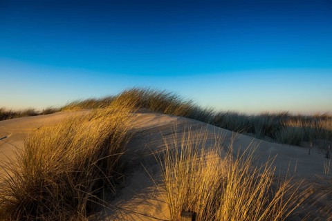 Dunes and blue sky in winter, sunset, Spiekeroog, East Frisian Islands, Lower Saxony, Germany