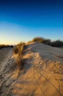 Dunes and blue sky in winter, sunset, Spiekeroog, East Frisian Islands, Lower Saxony, Germany