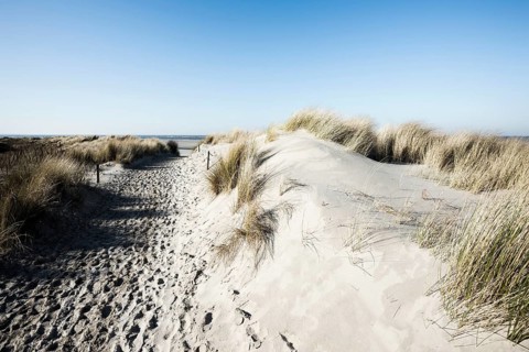 Trail in the dunes and blue sky in winter, Spiekeroog, East Frisian Islands, Lower Saxony, Germany