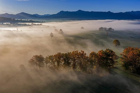 Trees, oaks, beech trees, sunny, morning light, autumn color, fog, aerial view, Riegsee, view of