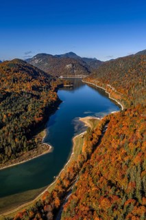 Mountain lake, mountains, sunny, morning light, autumn, autumn color, forest, aerial view,