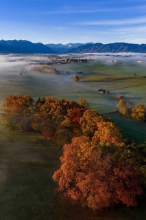 Trees, oaks, beech trees, sunny, morning light, autumn color, fog, aerial view, Riegsee, view of