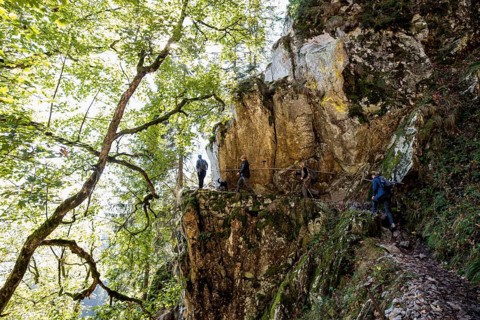 Alpine trail and rocks, at Hohneck, Col de la Schlucht, Vosges, Alsace-Lorraine, Vosges Haut-Rhin