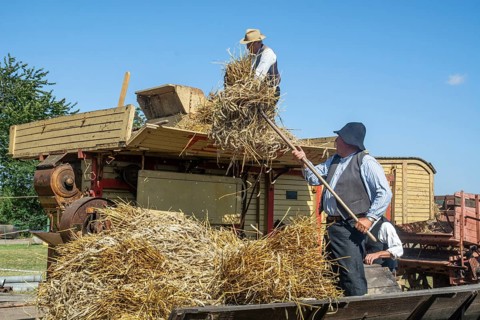 Work at old stationary thresher at old-fashioned harvest festival in Svenstorp, Ystad municipality,