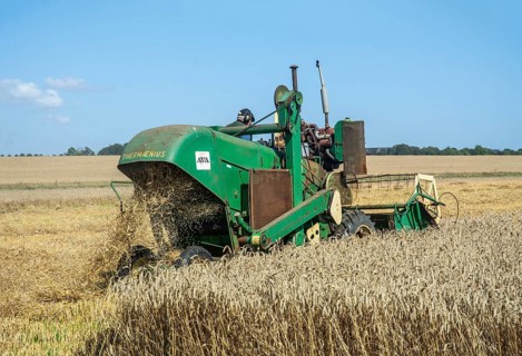 Older Termaenius combine harvester harvesting wheat at old-fashioned harvest festival in Svenstorp,