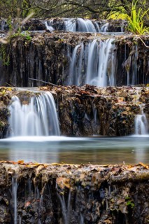 Sinterterrassen der Weißen Lauter, Bach, Water, Autumn, Donntal, Gutenberg, Swabian Jura,
