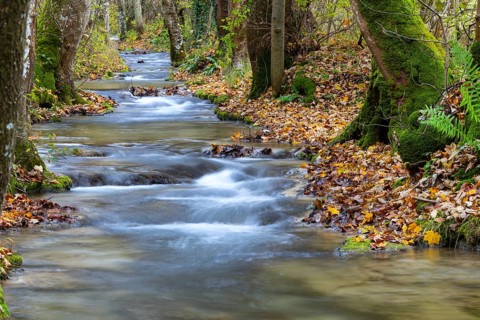 Small steps in the stream, water, autumn, Brühlbach, Maisental, Bad Urach, Swabian Jura,